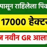 खरीप पिक विमा 2025: खात्यावर जमा होण्यास सुरुवात; पहा किती मिळणार रक्कम kharip pik vima watap 2025