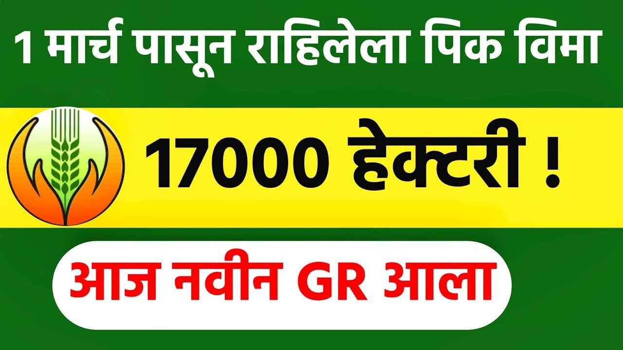खरीप पिक विमा 2025: खात्यावर जमा होण्यास सुरुवात; पहा किती मिळणार रक्कम kharip pik vima watap 2025