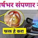 तुमचा गॅस सिलेंडर वर्षभर संपणार नाही; फक्त हे एक काम करा, आणि कितीही गॅस वापरा LPG Gas Cylinder Price 2026
